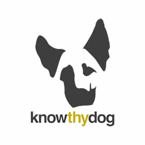 Saul-Creative_Know-Thy-Dog-Bozeman-Dog-Daycare