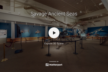 Saul Creative - Bozeman Montana Matterport Tours - Museum of the Rockies - Triebold Paleontology - Savage Ancient Seas