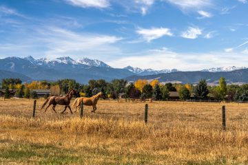 Land for Sale in Montana - Real Estate Near Bozeman